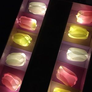 Tulip Shimmer String Lights